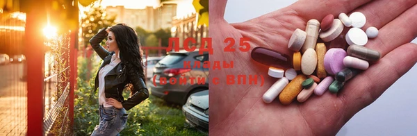 сатива Нягань