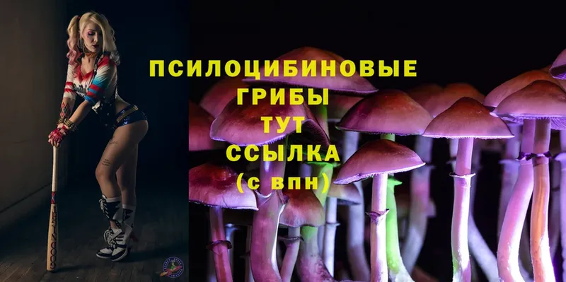 hydra tor  Карпинск  маркетплейс состав  Галлюциногенные грибы Psilocybe 