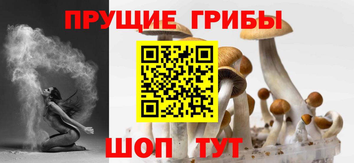 Карпинск  Псилоцибиновые грибы мухоморы  Вход с VPN 
